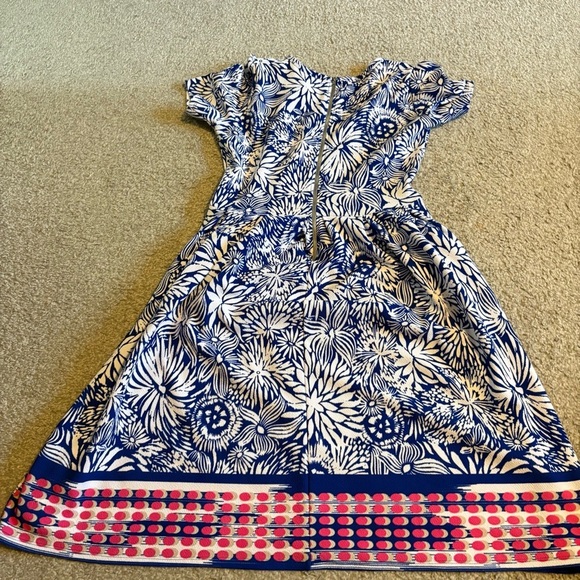 Lularoe Amelia Blue Floral Simply Comfortable Dress Large Red Pink Short Sleeve - Picture 5 of 6